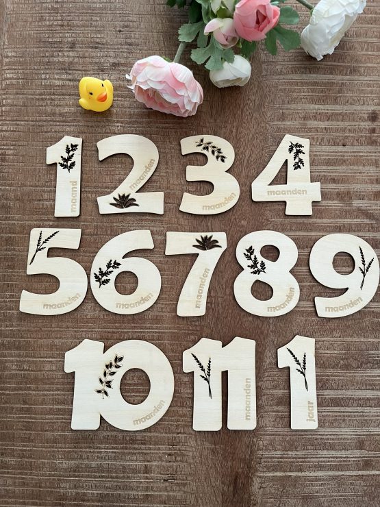 Set Houten mijlpaalkaarten "cijfer"